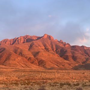 Meet your Posher, Thomas